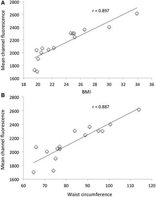 Effect of Dark Chocolate Extracts on Phorbol 12-Myristate 13-Acetate-Induced Oxidative Burst in Leukocytes Isolated by Normo-Weight and Overweight/Obese Subjects